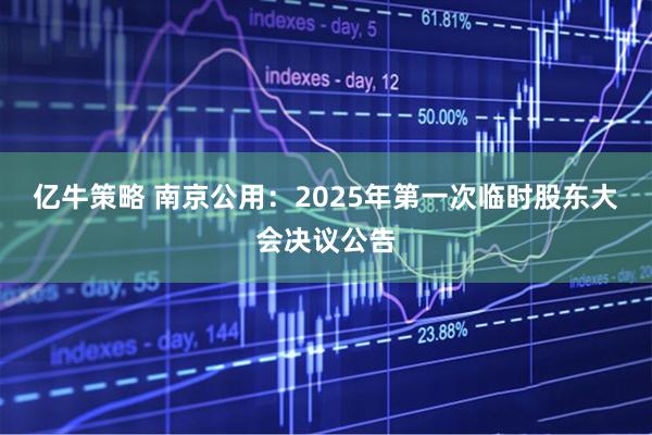 亿牛策略 南京公用：2025年第一次临时股东大会决议公告