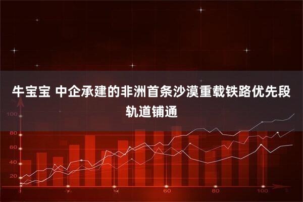 牛宝宝 中企承建的非洲首条沙漠重载铁路优先段轨道铺通