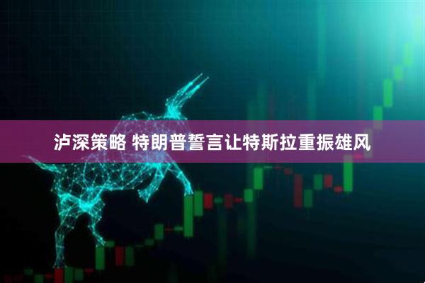 泸深策略 特朗普誓言让特斯拉重振雄风