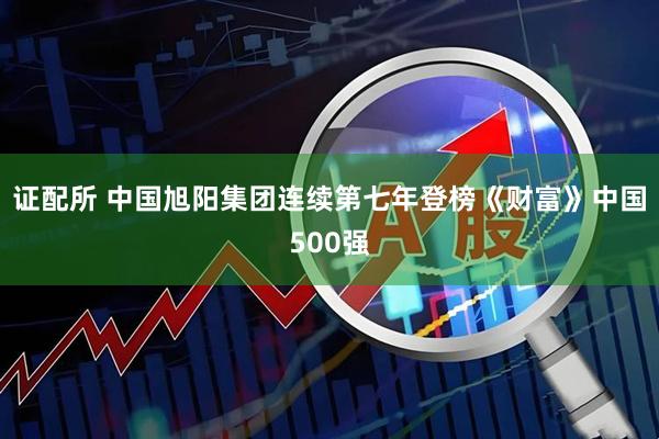 证配所 中国旭阳集团连续第七年登榜《财富》中国500强