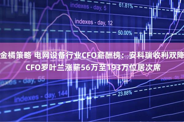 金橘策略 电网设备行业CFO薪酬榜：安科瑞收利双降 CFO罗叶兰涨薪56万至193万位居次席